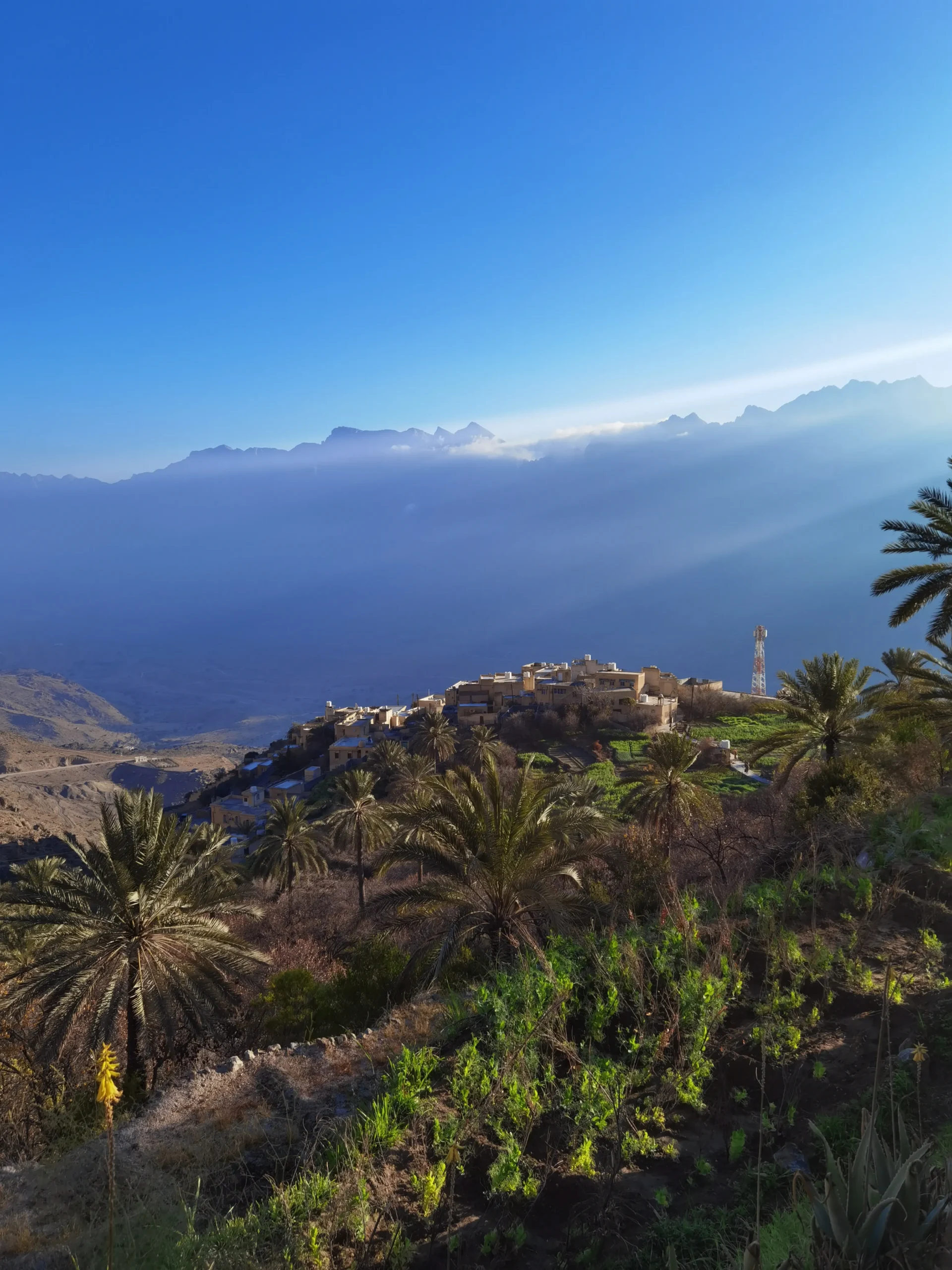 предгорье Джебель Ахдар («Зеленая гора»).