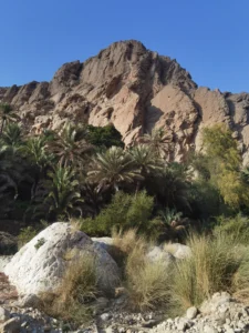 дорога к вади Бани Халид