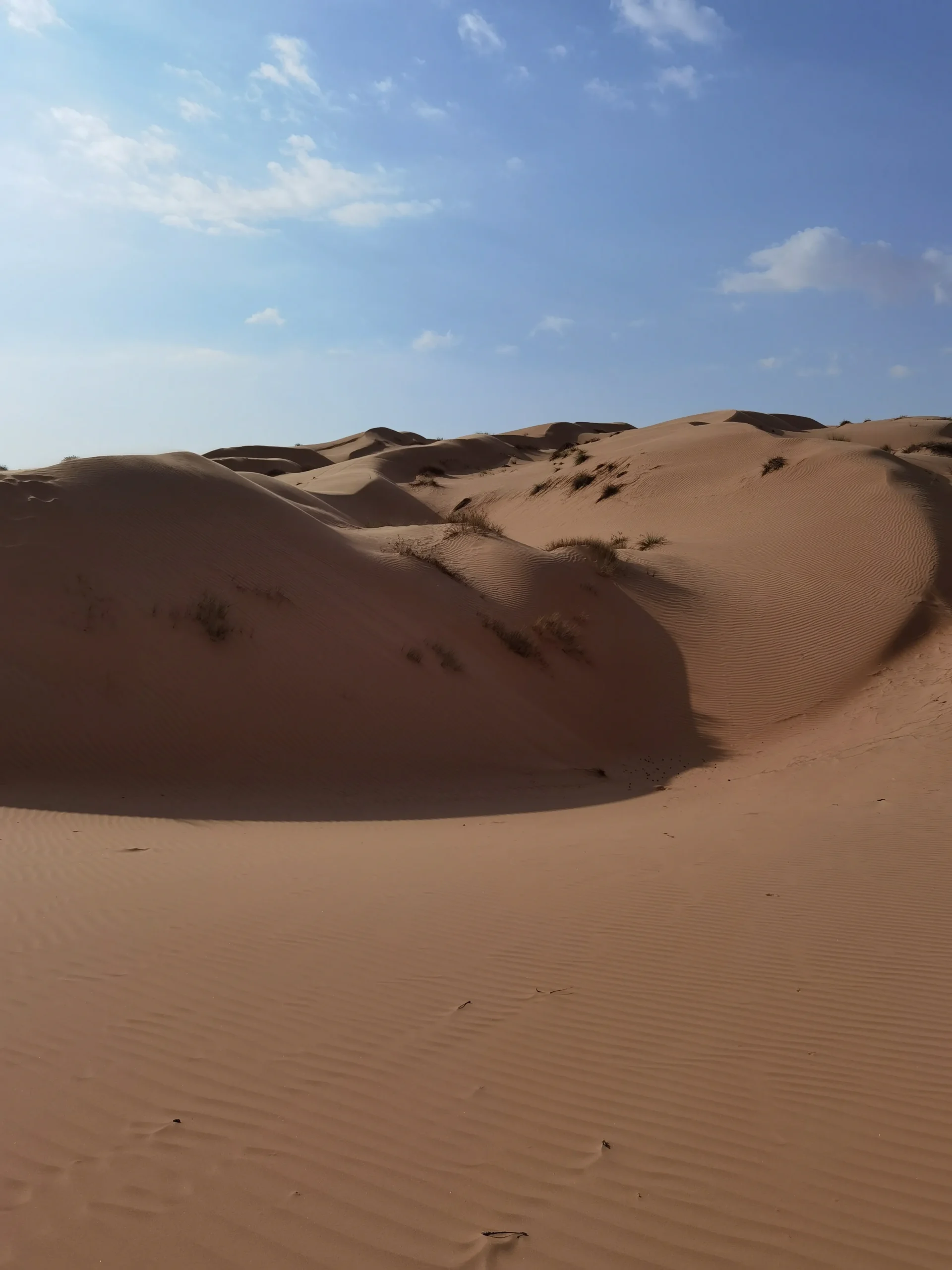 пустыня Вахиба